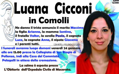 cicconi luana