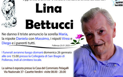 bettucci lina
