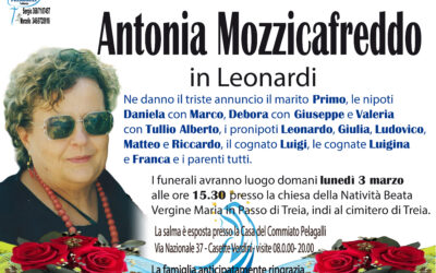 ANTONIA MOZZICAFREDDO